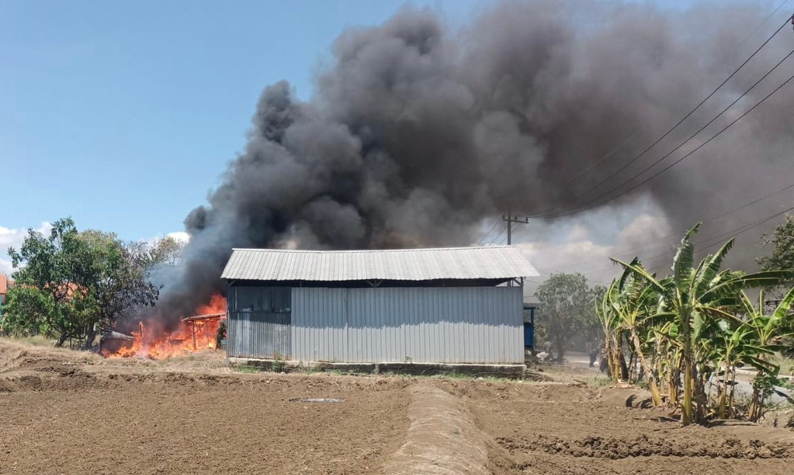 46ab8d55 2d58 4df2 99cd f28f1f1f2d90