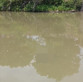 Screenshot 2025 09 16 134356