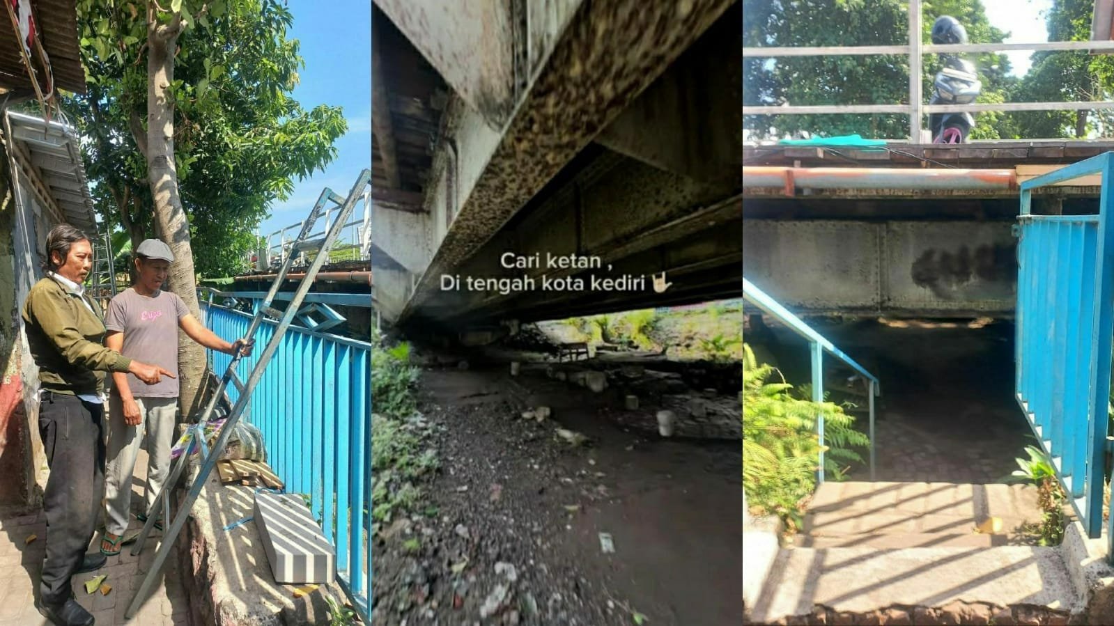 WhatsApp Image 2025 09 03 at 3.40.20 PM