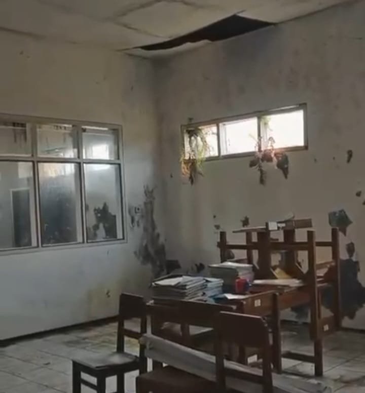 WhatsApp Image 2025-09-11 at 13.57.17 WhatsApp Image 2025 09 11 at 13.57.17