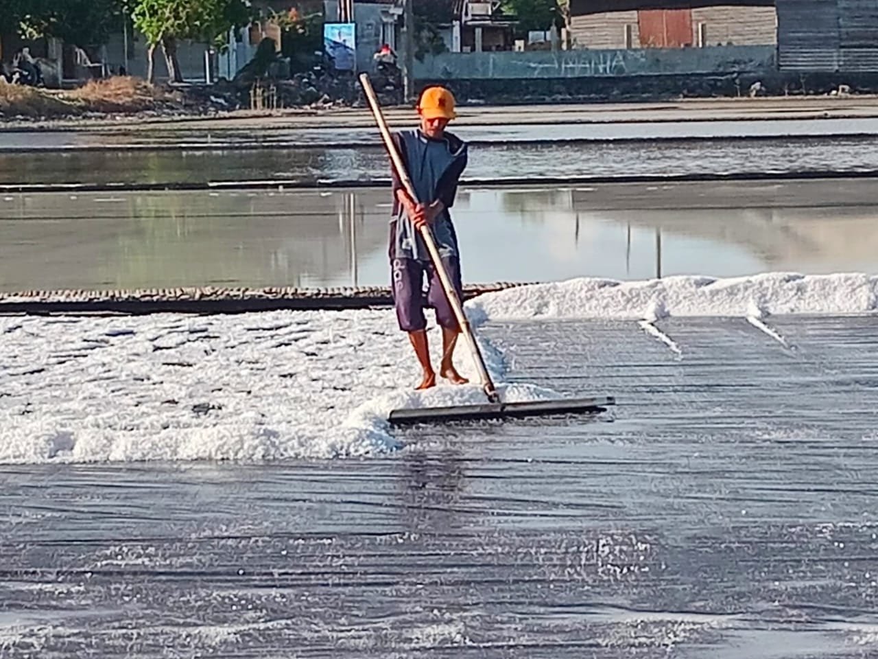 WhatsApp Image 2025 09 14 at 12.02.28 PM