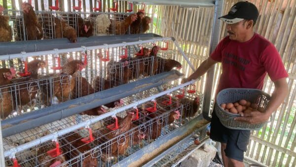 WhatsApp Image 2025 09 22 at 12.51.09