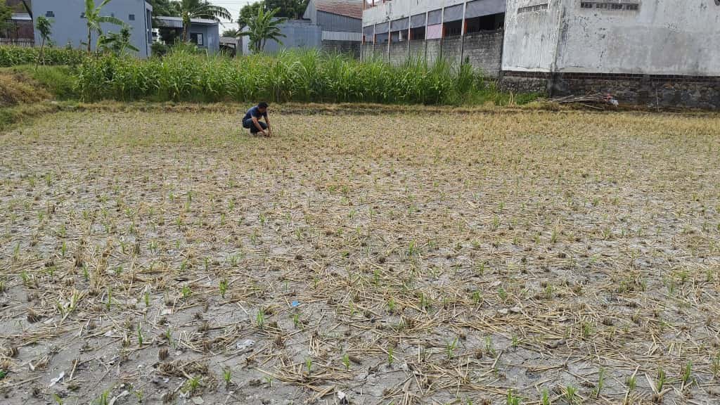 5f6ab78b c79e 40eb 86e6 31dff26a32d0