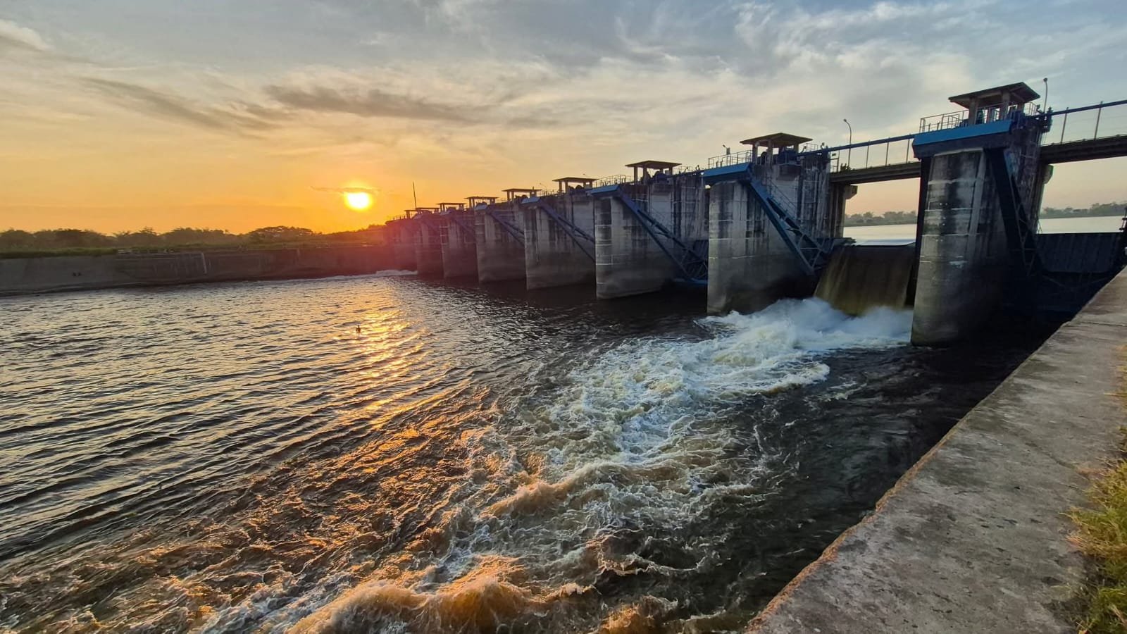 WhatsApp Image 2025 10 01 at 14.03.31