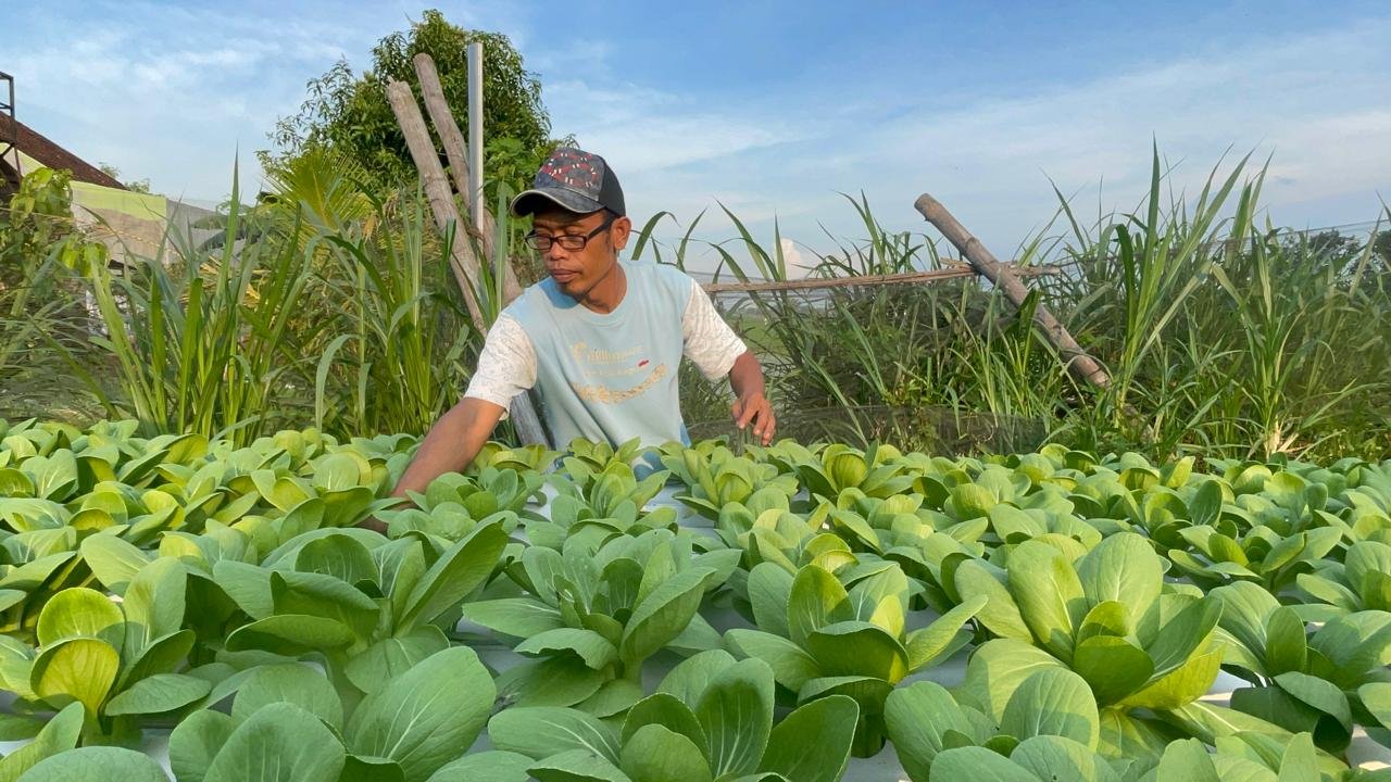 WhatsApp Image 2025 10 03 at 8.16.12 AM