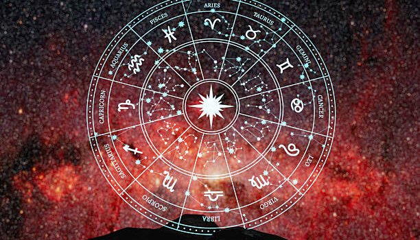 WhatsApp Image 2025-10-04 at 2.31.09 PM