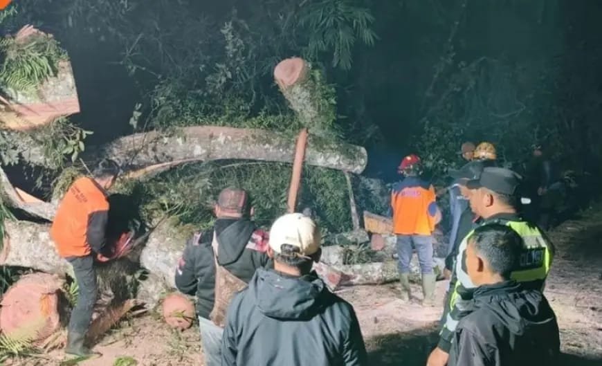 WhatsApp Image 2025 10 06 at 13.09.07