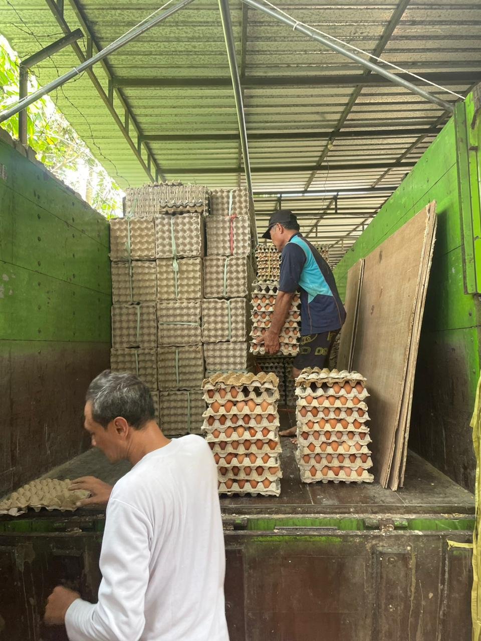 WhatsApp Image 2025 10 15 at 13.14.09