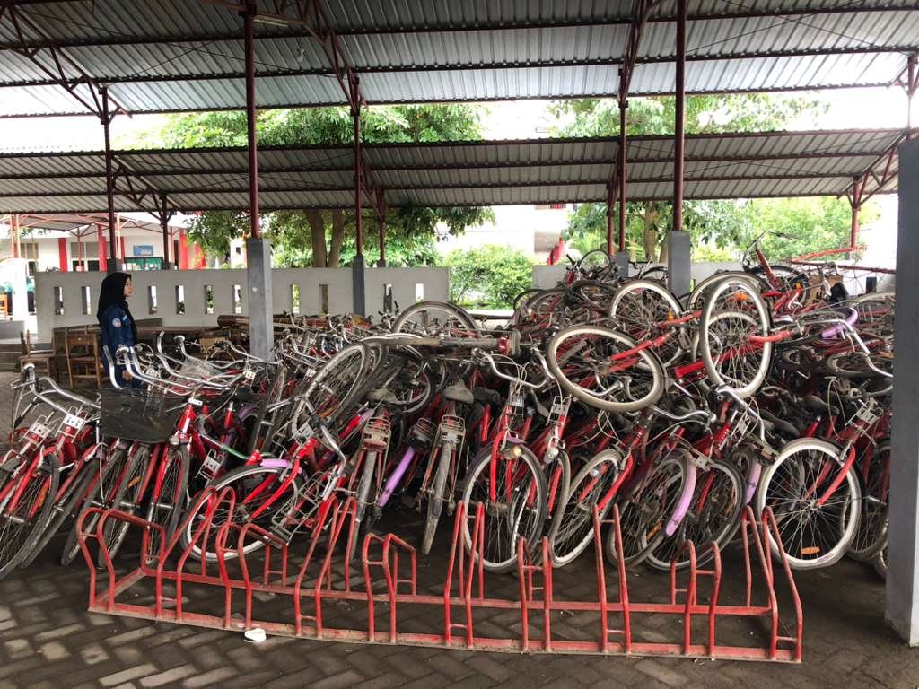 WhatsApp Image 2025 10 15 at 14.04.21