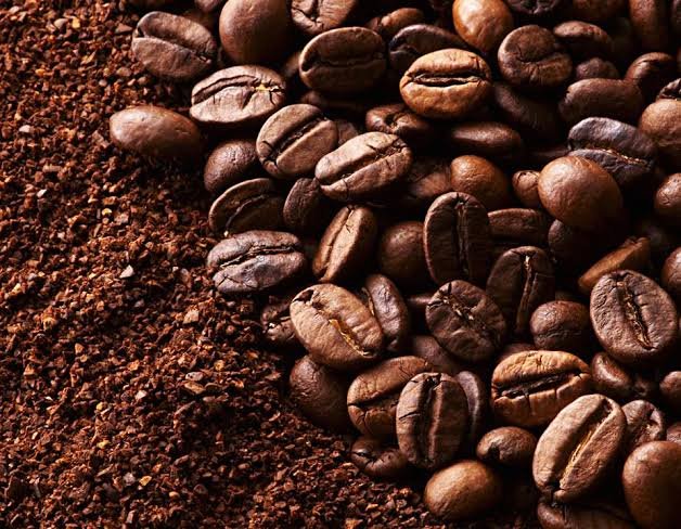 WhatsApp Image 2025 10 19 at 07.50.35