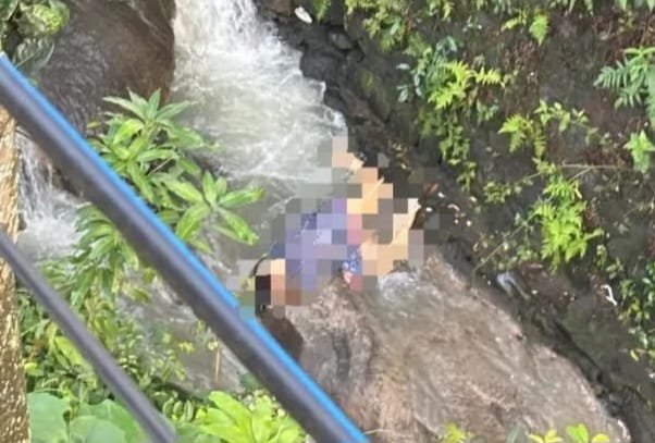 WhatsApp Image 2025-10-31 at 14.38.17 WhatsApp Image 2025 10 31 at 14.38.17