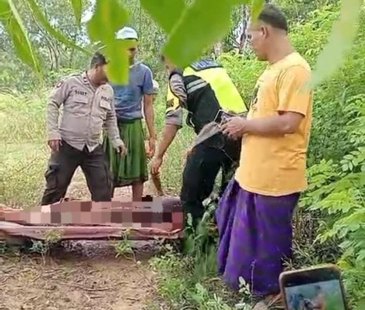 01e60783 d6b9 4985 a21f 797263b3c67a