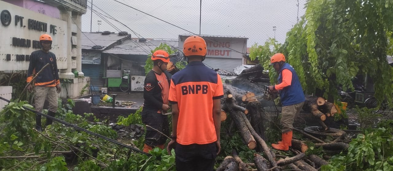 2c3e24c2 9048 4d1b af25 30f0201be6ea