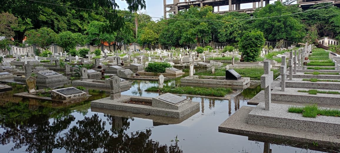 4001ad76 29ca 441f 8ee8 d7e3893c25cd