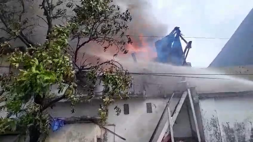 5c3ccb76 577a 4e79 8423 20d37236d594