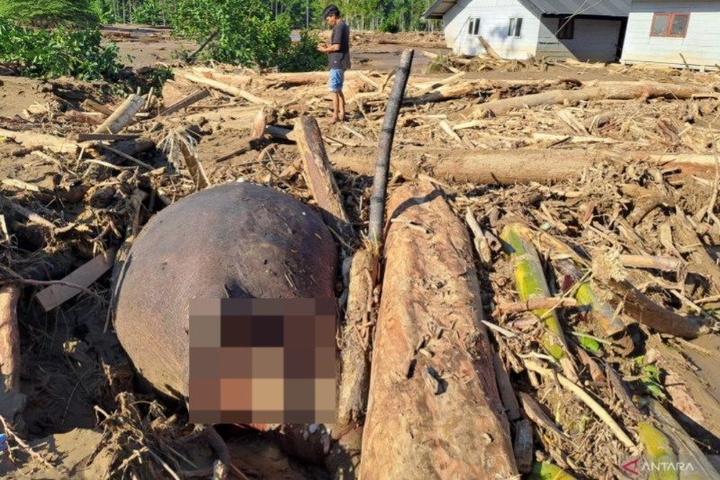 5e172ecc 73cc 41f5 84a0 4ba82f0b314c