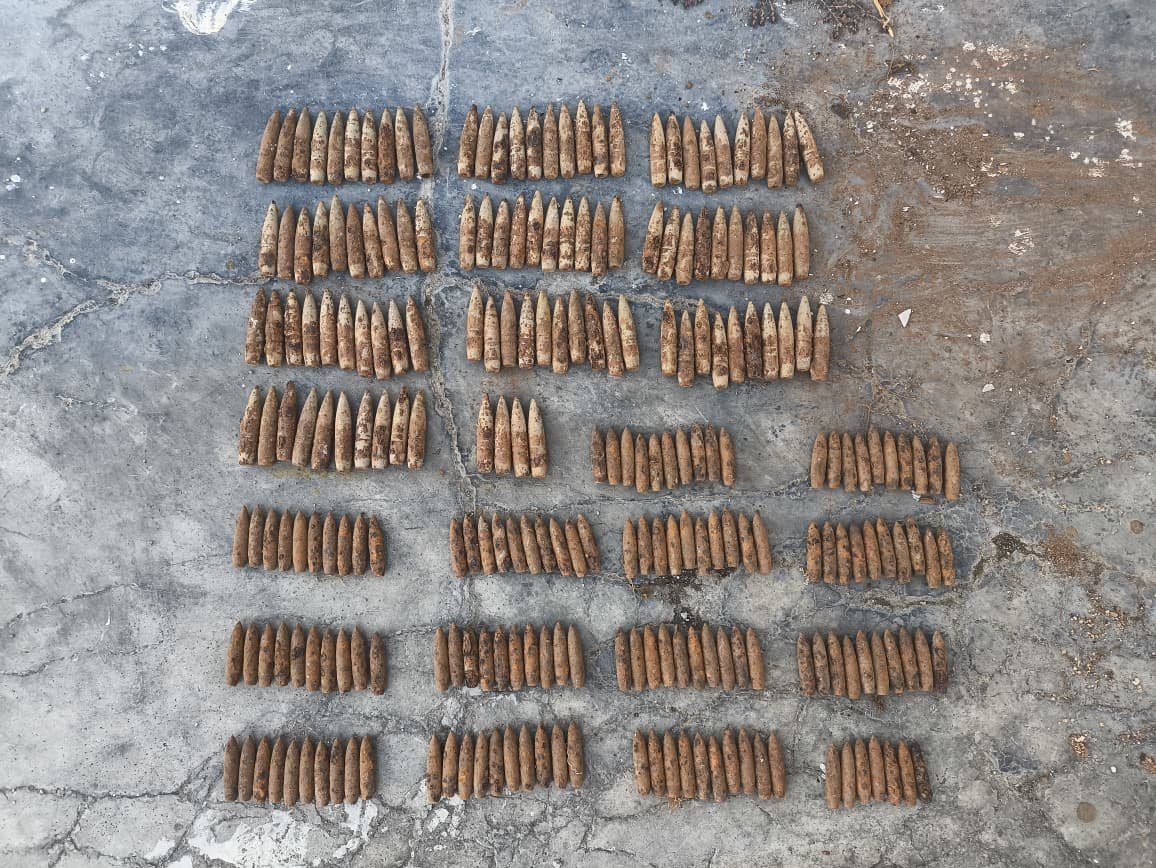 IMG 20251106 WA0022 1