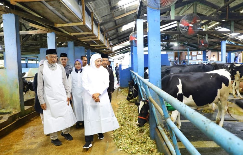 IMG 20251115 WA0004 1