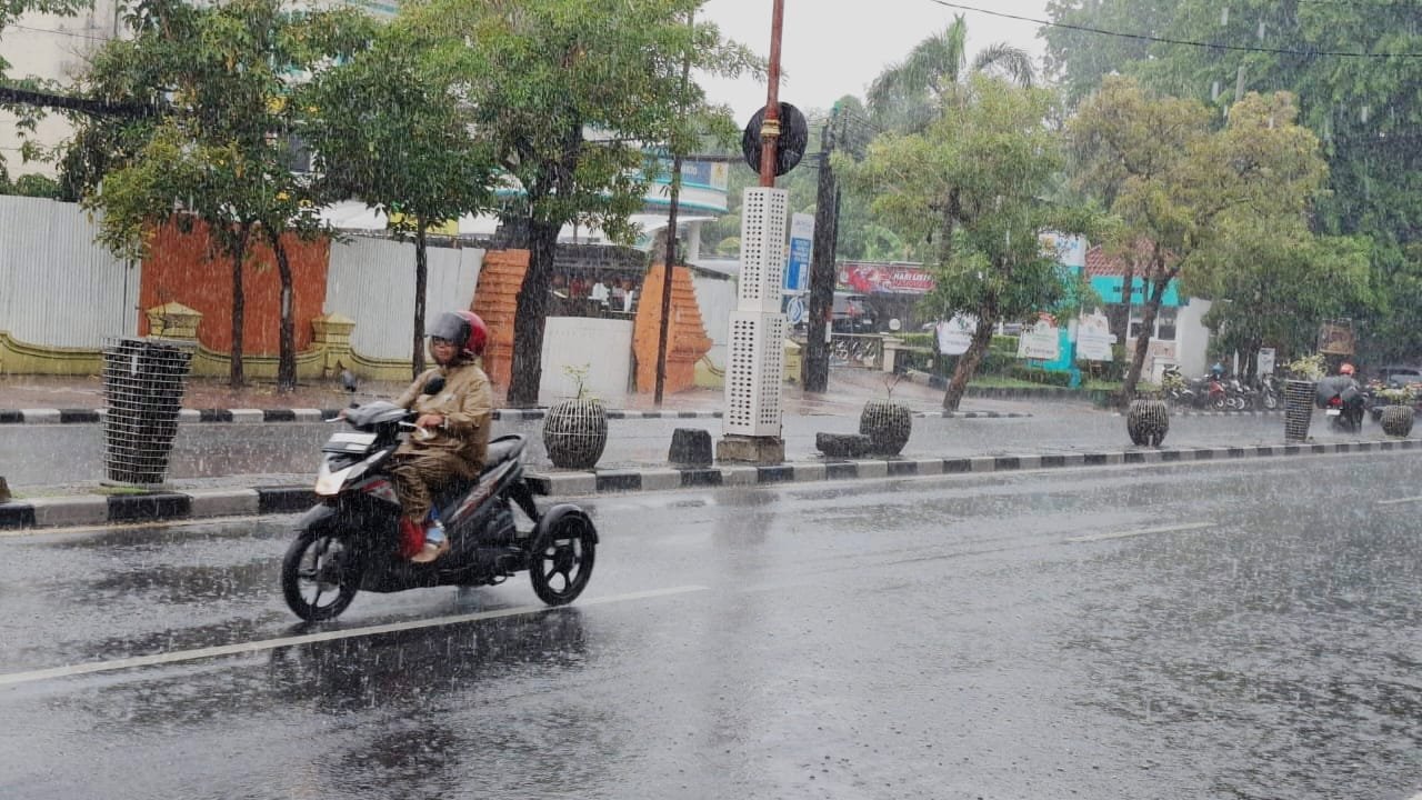 WhatsApp Image 2025 11 04 at 11.28.56 AM