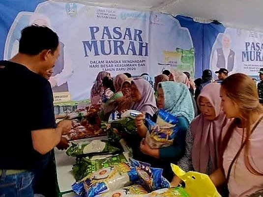 WhatsApp Image 2025 11 05 at 14.15.17