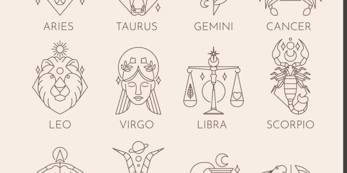 WhatsApp Image 2025 11 09 at 2.22.08 PM