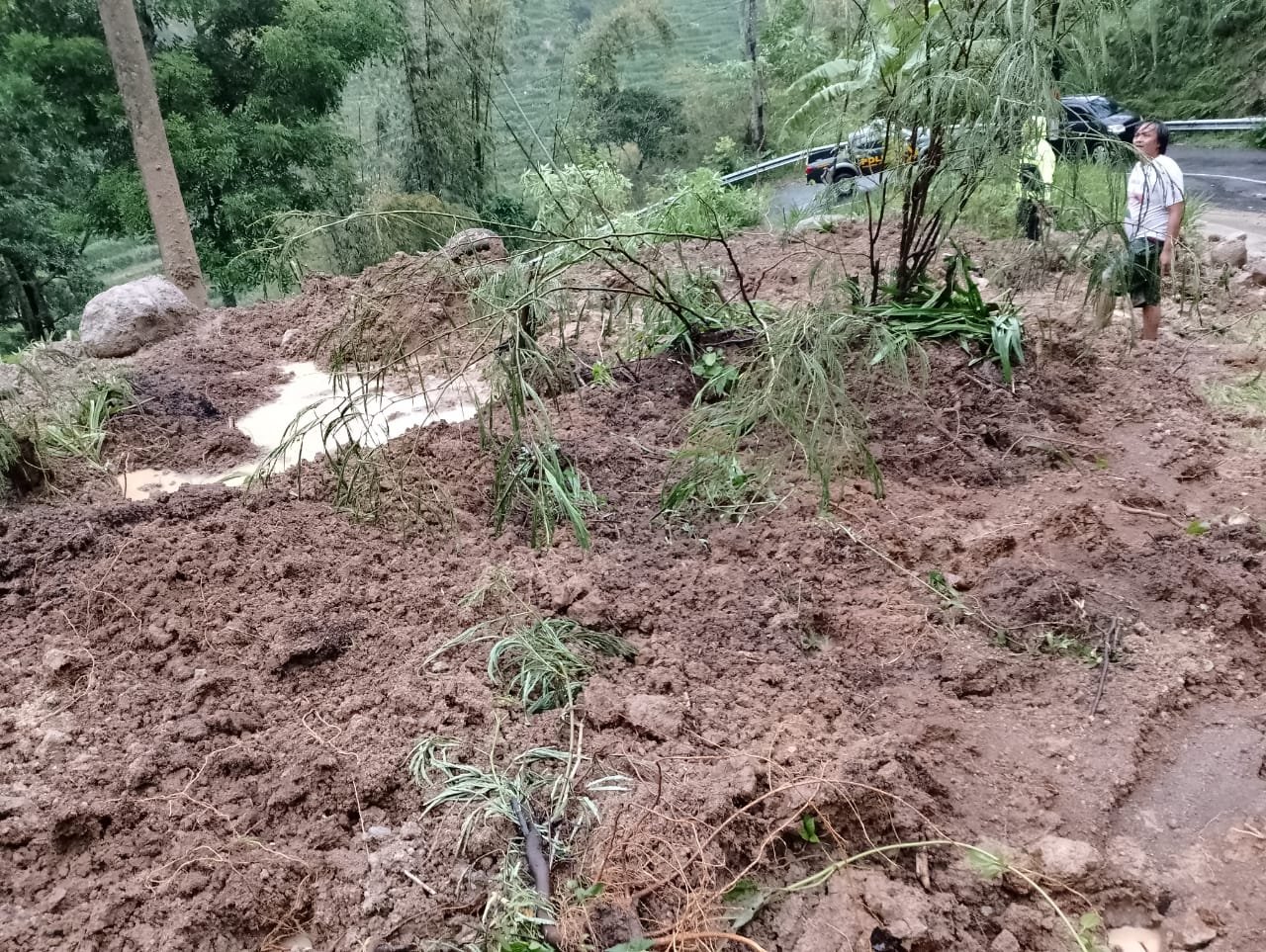 WhatsApp Image 2025 11 10 at 7.44.43 PM 1