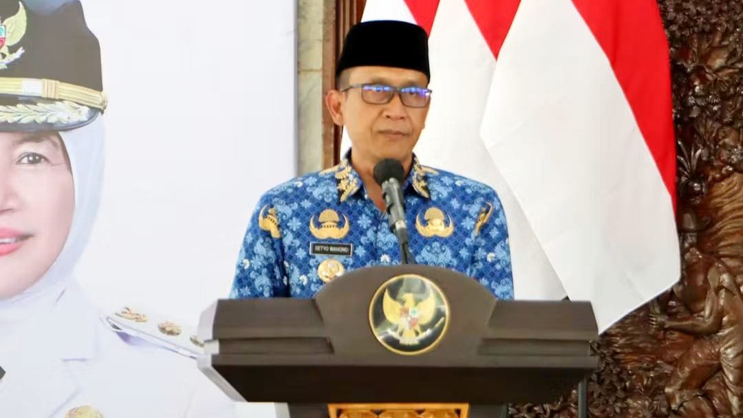 WhatsApp Image 2025 11 12 at 10.15.07