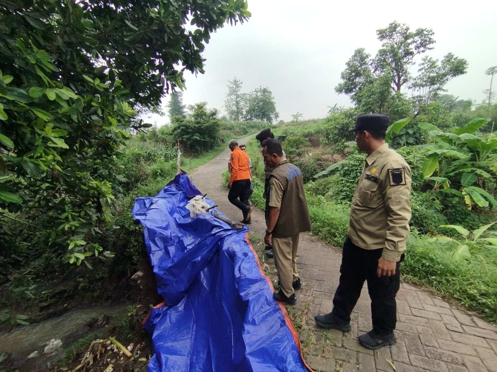 WhatsApp Image 2025 11 12 at 10.29.04