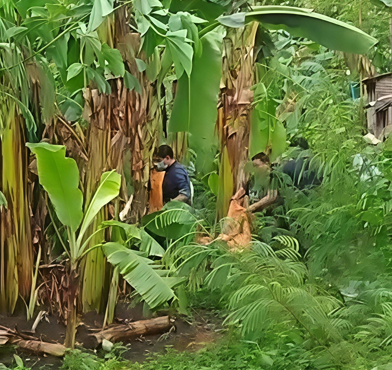 WhatsApp Image 2025 11 13 at 5.40.49 PM scaled