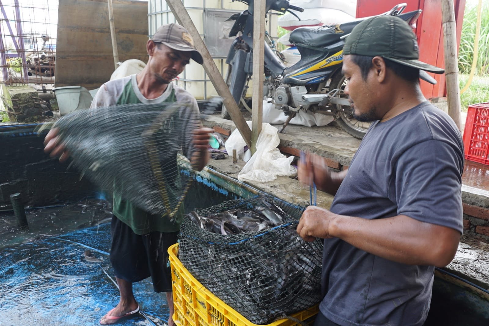 WhatsApp Image 2025 11 15 at 8.52.48 AM