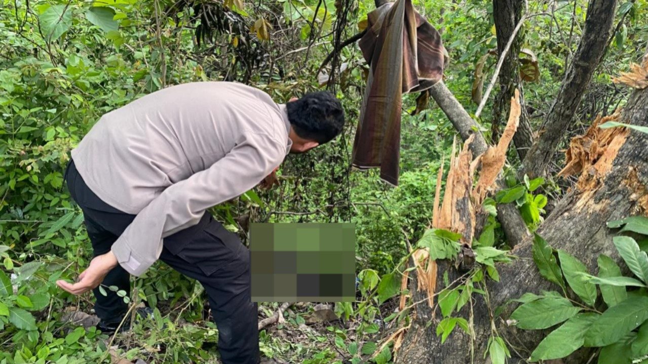 WhatsApp Image 2025 11 16 at 11.06.54 AM