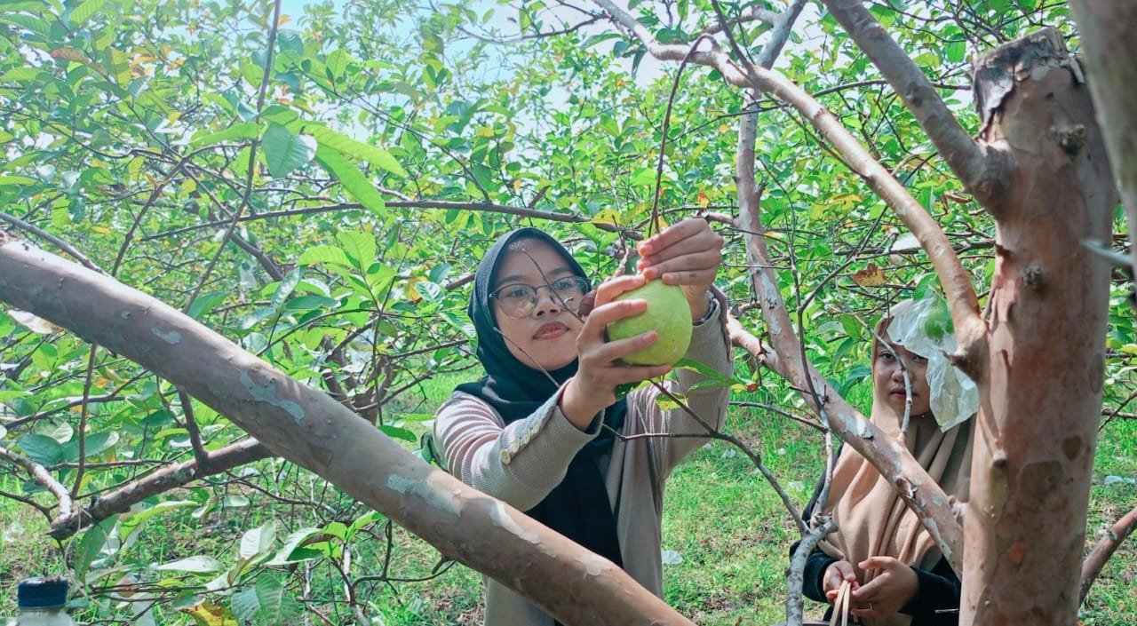 WhatsApp Image 2025 11 16 at 12.24.09 PM