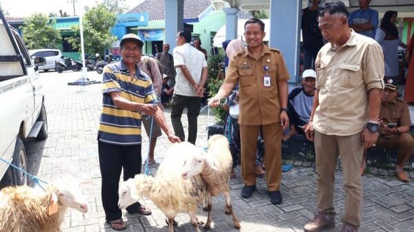 WhatsApp Image 2025 11 20 at 13.59.36