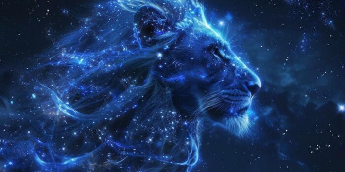 WhatsApp Image 2025 11 22 at 9.56.46 AM