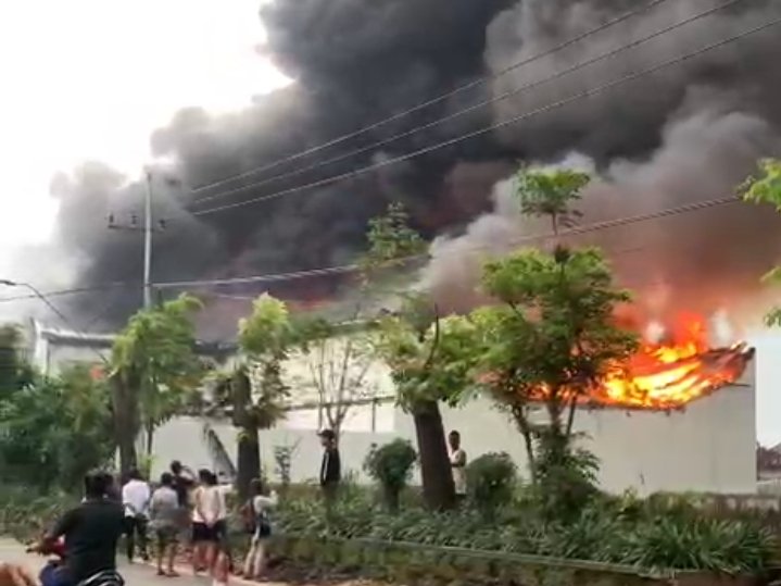 WhatsApp Image 2025 11 24 at 6.29.09 PM