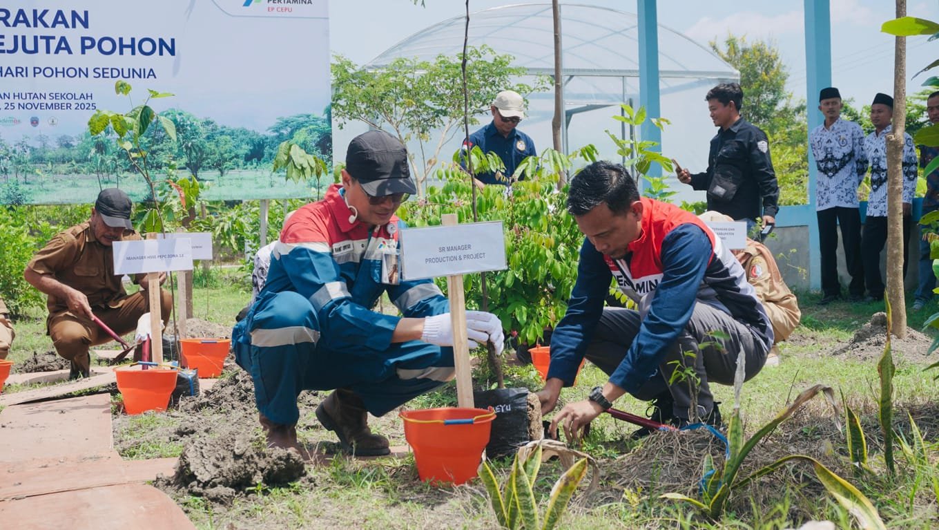 WhatsApp Image 2025 11 28 at 12.18.05