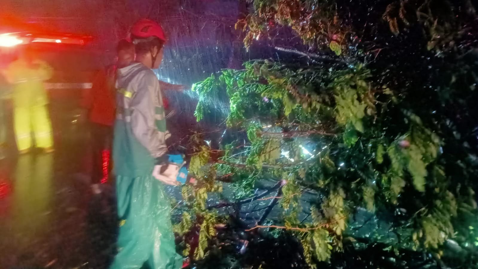 a47c219d 5442 45ad b5b2 7730e17da680