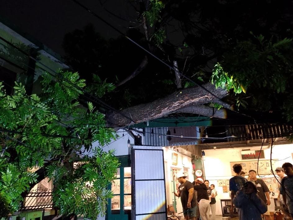 f9a9225a 9873 442e 9a3e e85ced943fb4