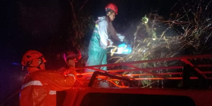 Puting Beliung Terjang Bojonegoro, Belasan Rumah Rusak-Pohon Tumbang Tutup Jalan 1 ff72ba95 9c34 496d b4b3 d47129d6450c