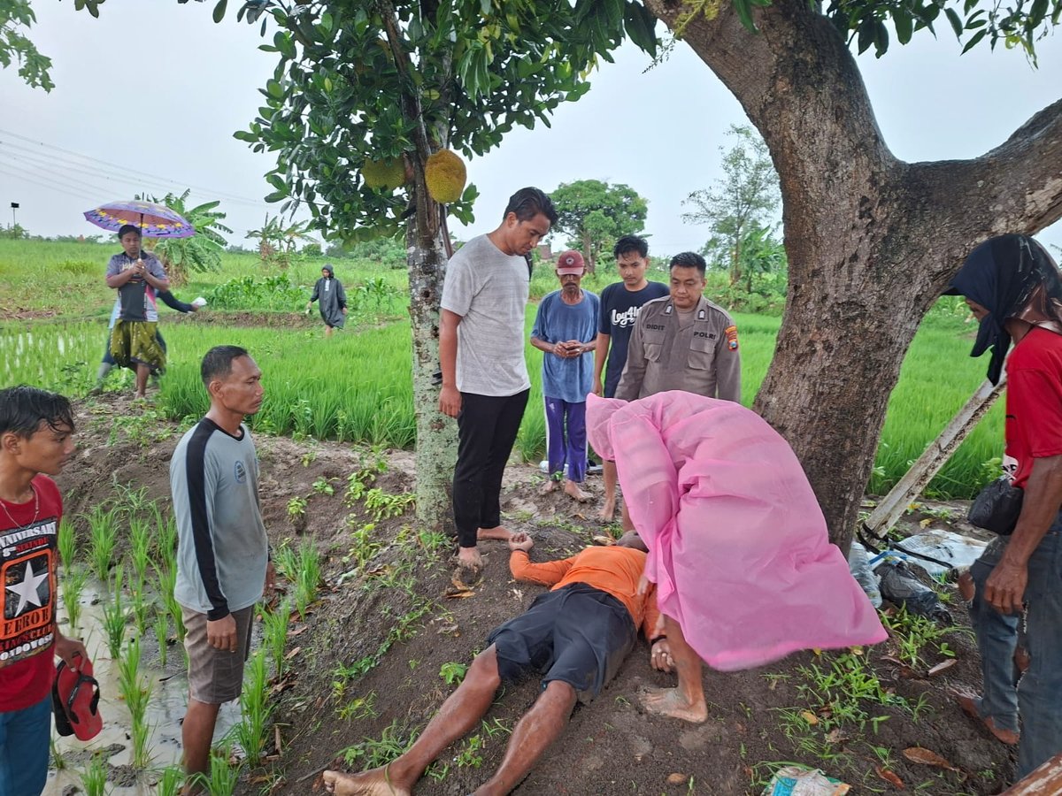 16fb3c43 6216 4eb5 b542 c63d22587b0b