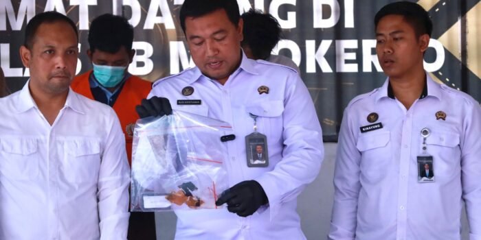 49f9210c e9f6 42c6 a786 f04253a63399