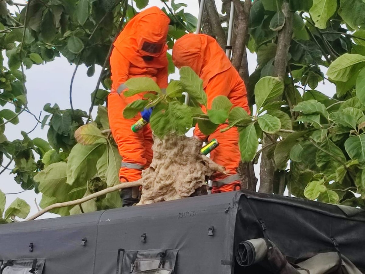 87a066f9 ae84 4ffd 9638 91f6f4d30d04