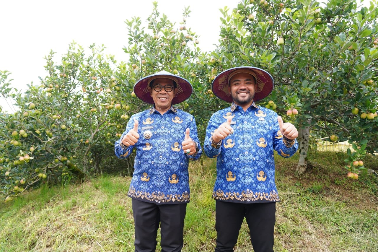 WhatsApp Image 2025 12 04 at 12.20.32