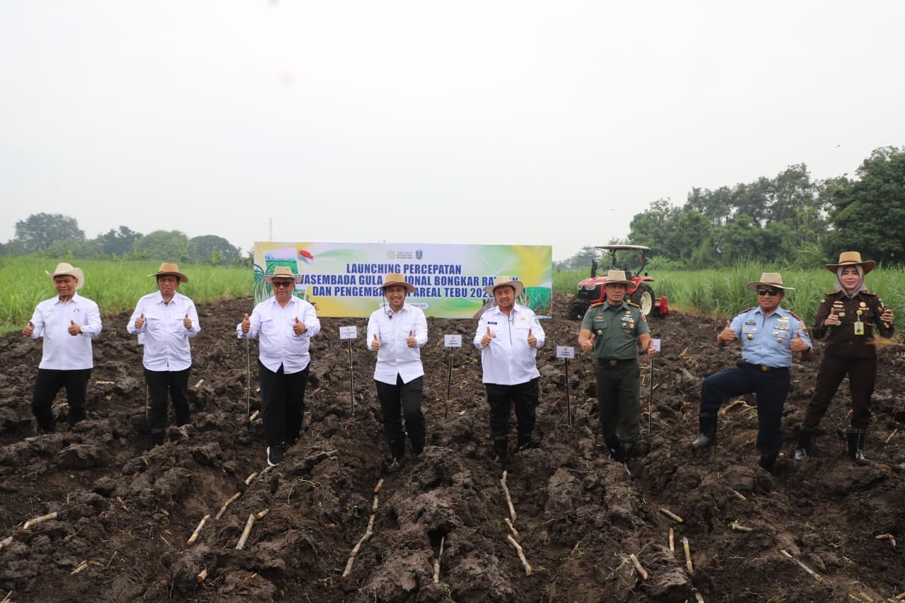 WhatsApp Image 2025 12 04 at 9.03.07 AM