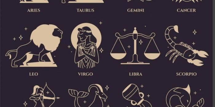 WhatsApp Image 2025 12 06 at 12.32.41 PM