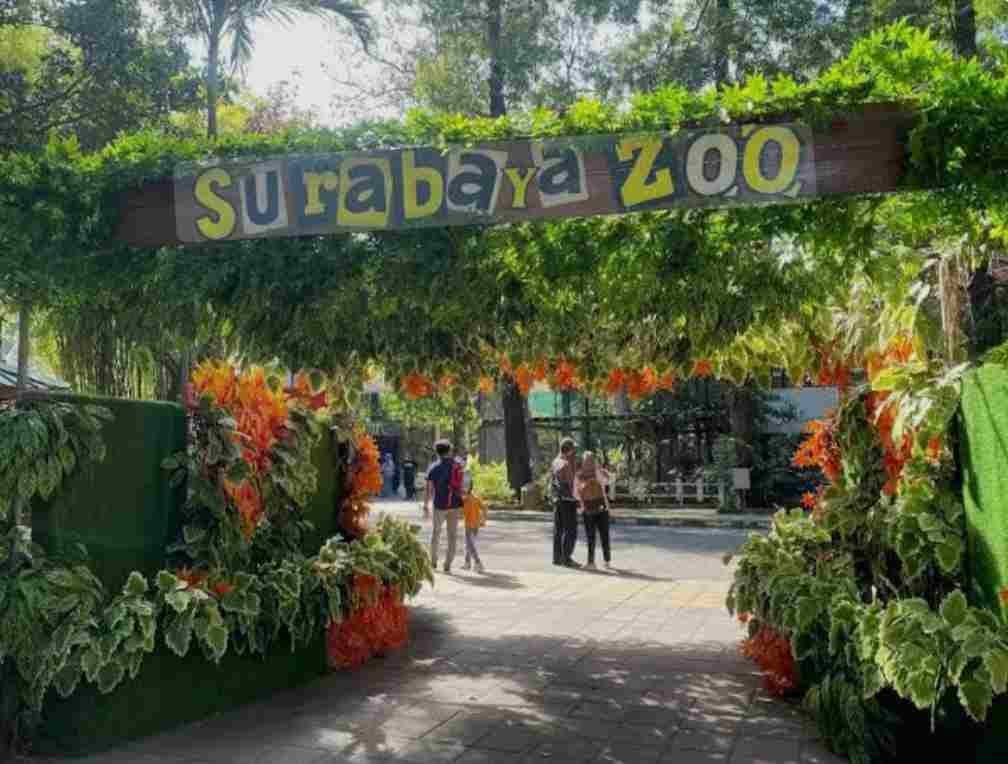 WhatsApp Image 2025 12 07 at 10.06.07