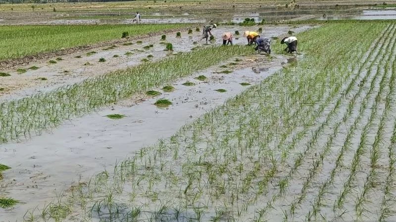 WhatsApp Image 2025 12 13 at 10.06.41