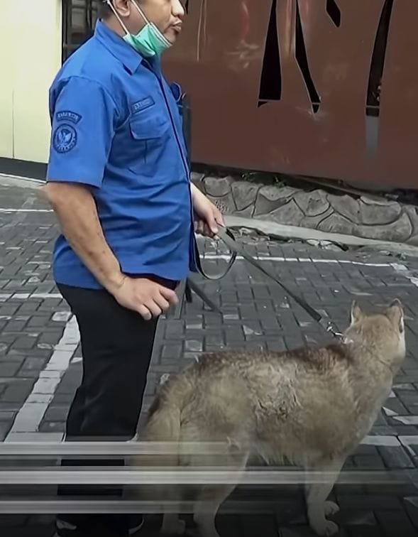 WhatsApp Image 2025 12 13 at 10.19.27 AM