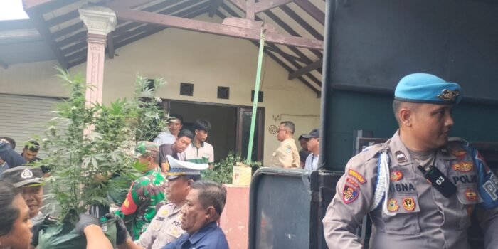 WhatsApp Image 2025 12 16 at 2.44.28 PM