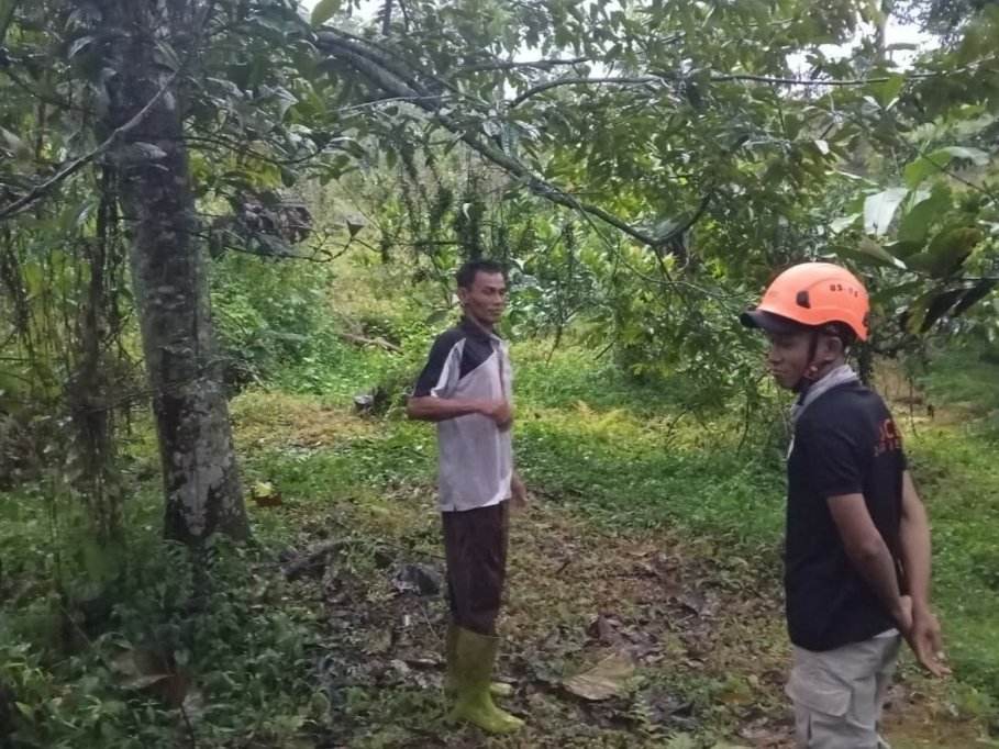 WhatsApp Image 2025 12 18 at 12.31.06 PM